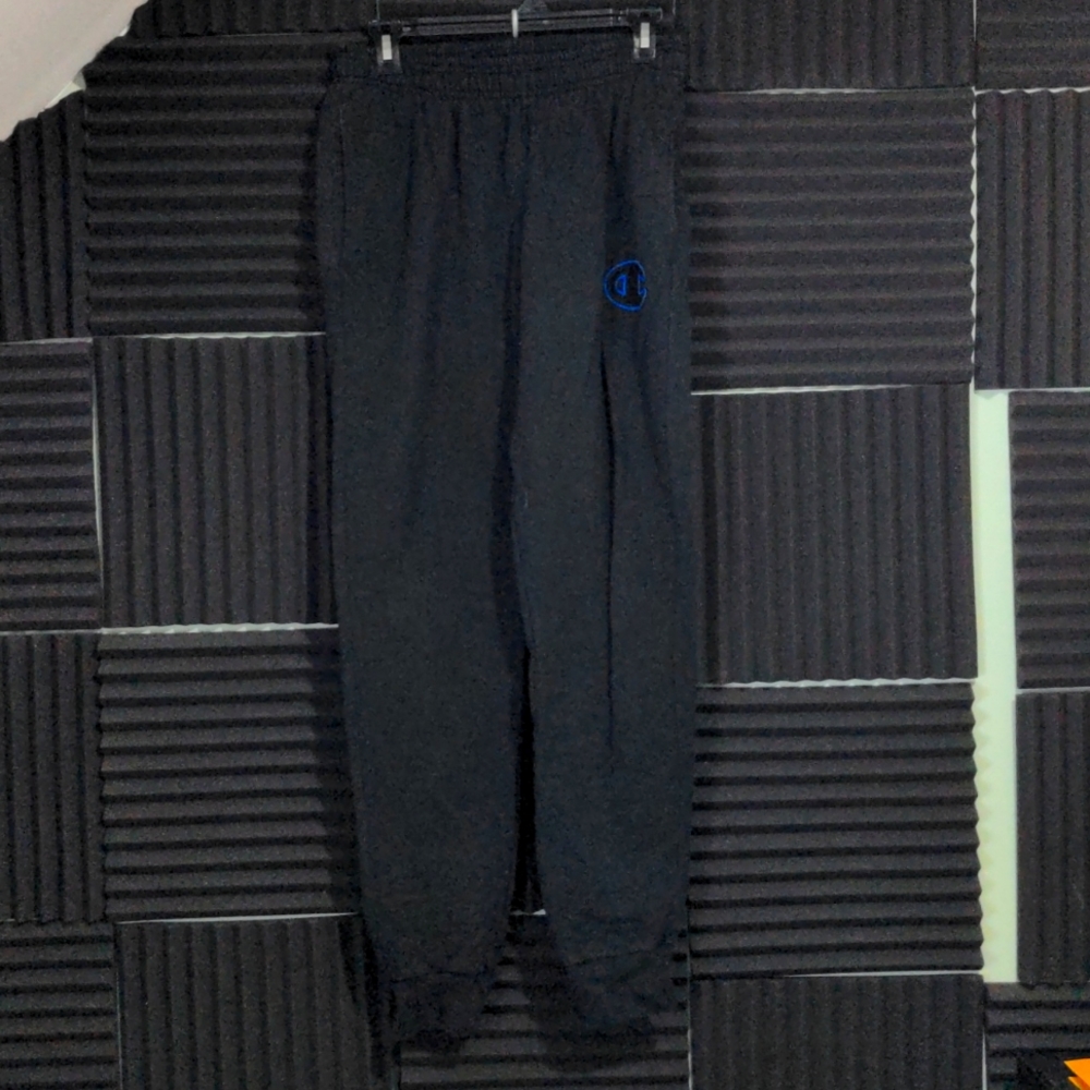 Men's champion medium sweat pants